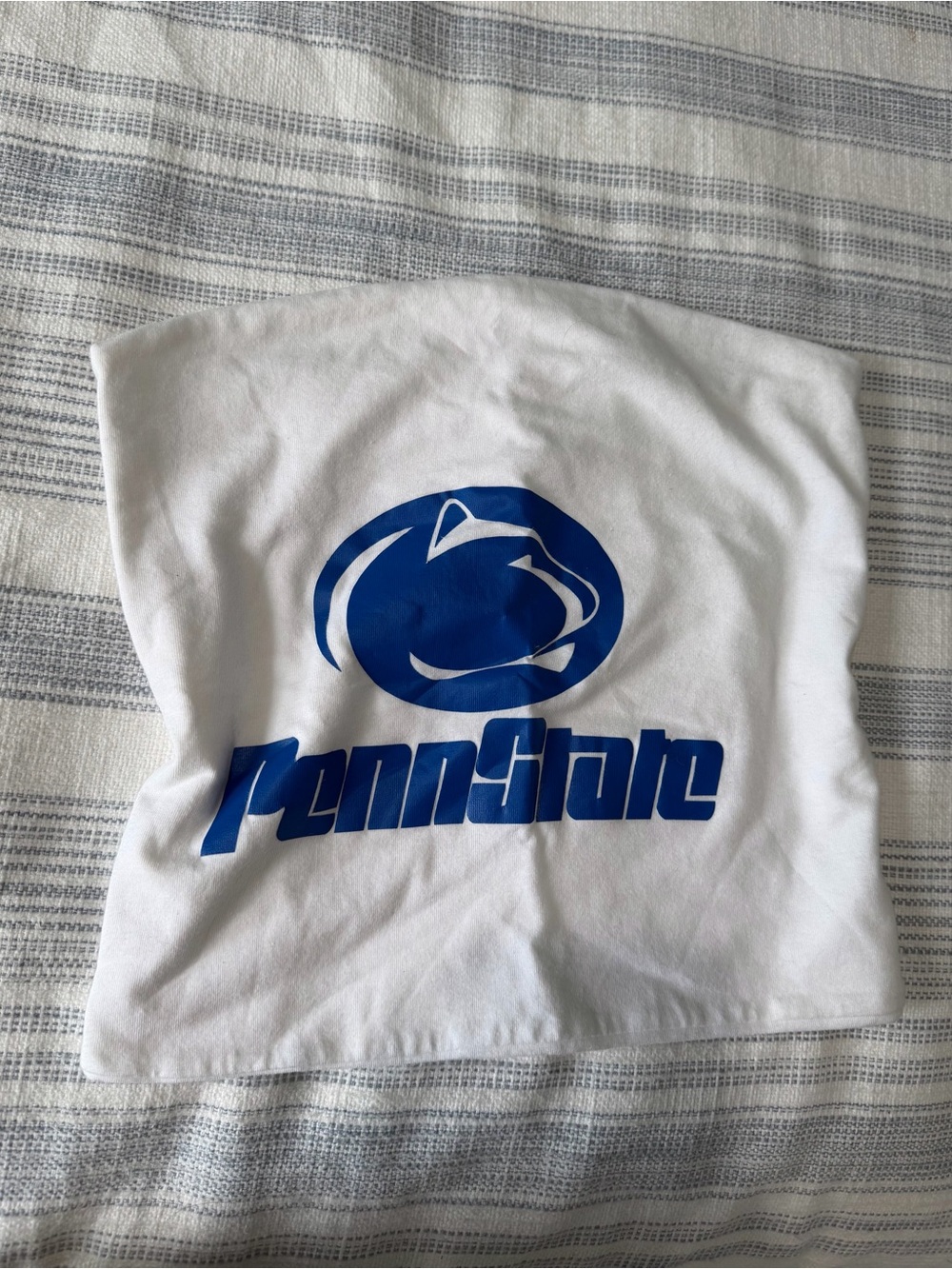 Brandy Melville Penn State Top